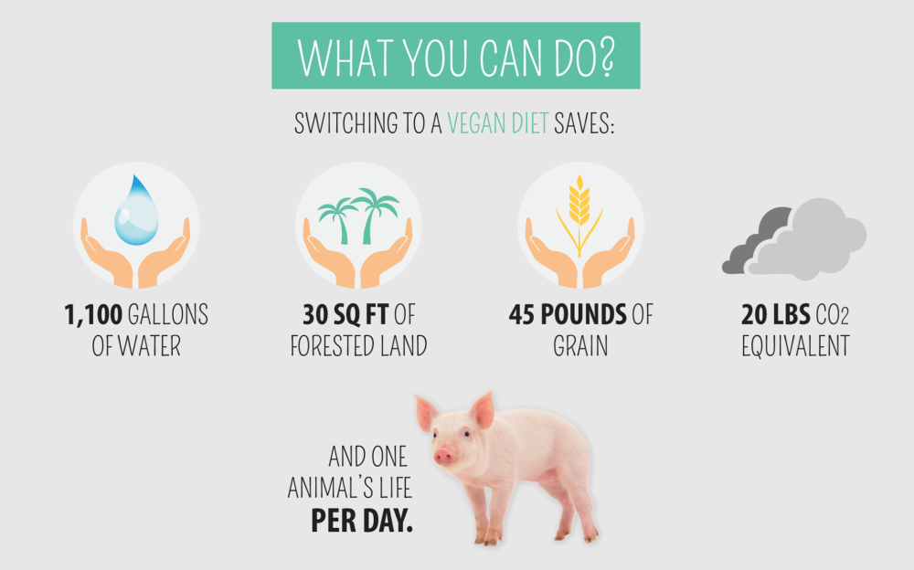 vegan benefits